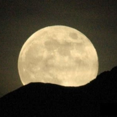Avatar für Brother_Moon1