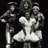 TheWiz-480x440-c-default.jpg