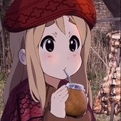 Nelsinhocs1 的头像