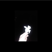 6371964.png
