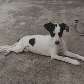 WhatsApp Image 2022-10-20 at 08.16.55.jpeg