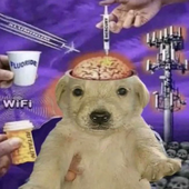 Avatar for Heroin_Pupp
