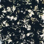 unnamed (2).jpg