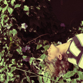 single cover
