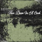 Face down in a creek [Explicit]