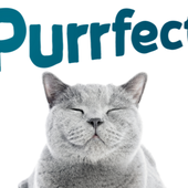purrfect-web.png