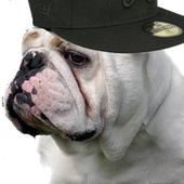 Avatar for HowardsCake