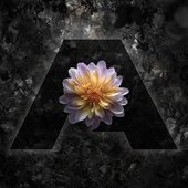 They Wanna Hear You Sing