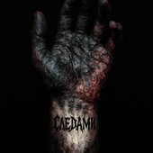 Следами