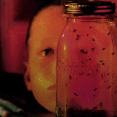 Alice in Chains - Jar of Flies (Gif)