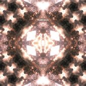 Multiversic