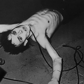 Peter Murphy