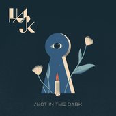 Shot in the Dark