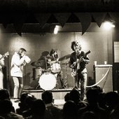 13th Floor Elevators Live