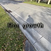 Lilac Growth Mix