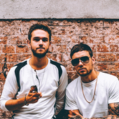 Liam Payne & Zedd.png