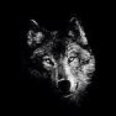 OmegaWolf88 さんのアバター