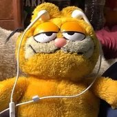 flarrp 的头像