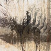 Esche 2011 Wendigo