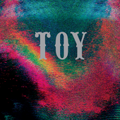 Toy