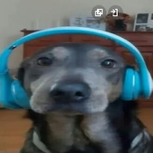 ufiuff 的头像
