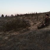 https://www.tumblr.com/flatsound/133681417236/