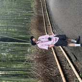 nam_i 的头像