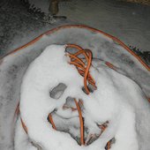 IMG_20241221_201222.jpg