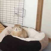 Grasskip 的头像
