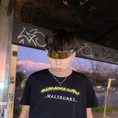 Maltrunks en una estación del transantiago