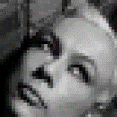 Avatar di client-q