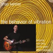 The Behavior of Vibration