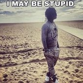 i may be stupid