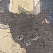 Avatar for Pedrolixo