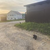 IMG_6951.jpeg