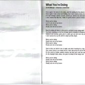 Inlay 2