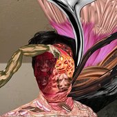 91+lwiBFXPL._SS500_.jpg
