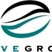 WaveGroup Logo