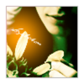 Avatar for MultiDiaz