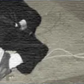 john q public.PNG