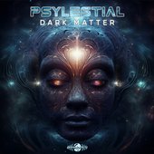 Dark Matter