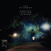 Another Fleeting Reason