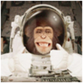 SpaceMonkey30 için avatar