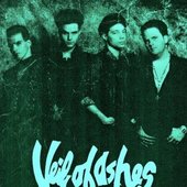 Veil Of Ashes_3.JPG