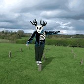 How to keep your skeleton intact 