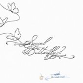 Social Butterfly 2
