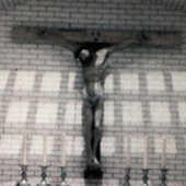 WhitEdward için avatar