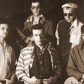 Les Alligators 1