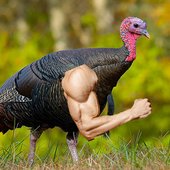 It's Thanksgiving VIP