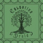 Celestine Druid